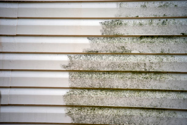 Best Custom Siding Design  in San Marcos, CA