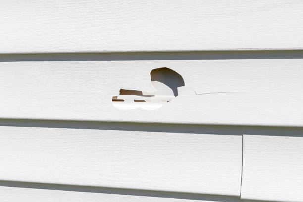 Best Stucco Siding  in San Marcos, CA
