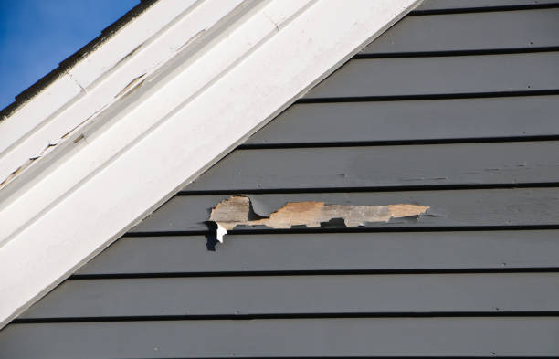 Best Siding Removal and Disposal  in San Marcos, CA